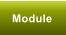 Module